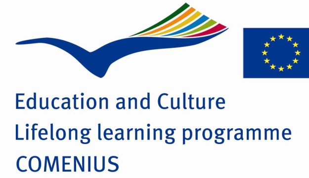 Programa Comenius para profesores