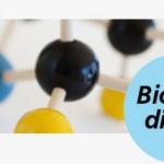 Beca Colegios del Mundo Unido de la Caixa