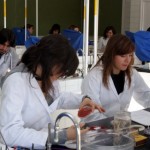 Becas de colaboración Ministerio de educación español