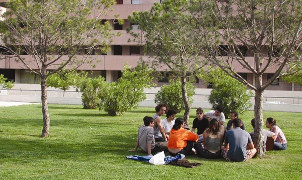 Cómo hacer la preinscripción en la Universidad