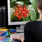 El profesional freelance