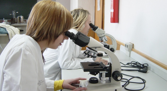 Titulaciones de Formación Profesional con más salidas