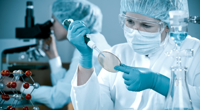 Becas para formar especialistas en biomedicina en el Massachussets Institute of Technology (MIT)