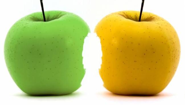 Diferencias entre Master Oficial y Master Propio