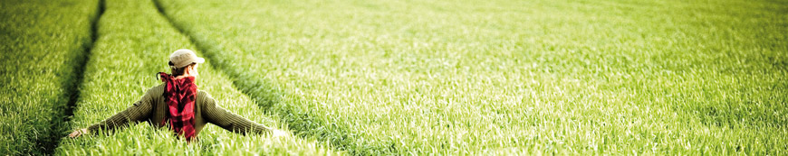 La formación más completa en la Universitat Abat Oliba CEU