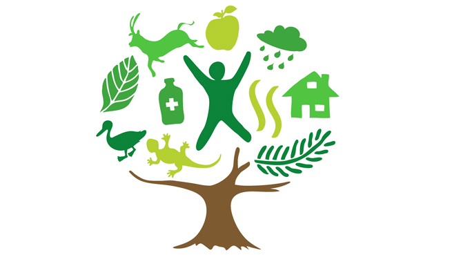 Prácticas desarrollo sostenible en Navarra