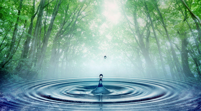 Premios 2012 a la innovación de la Fundación 3M