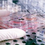 Becas de movilidad José Castillejo para jóvenes doctores