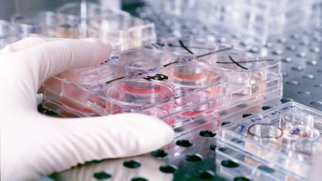 Becas de movilidad José Castillejo para jóvenes doctores