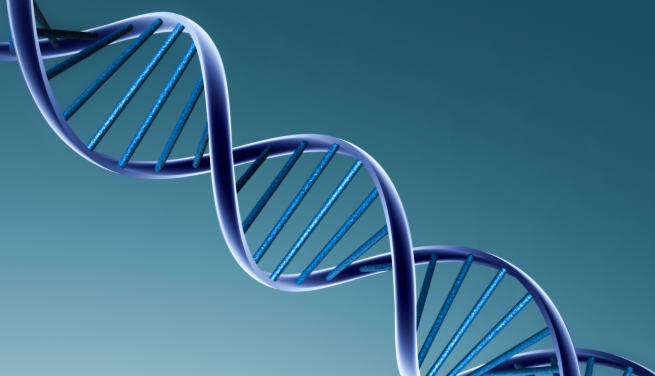 Bolsa de empleo para investigadores en la Unión Europea