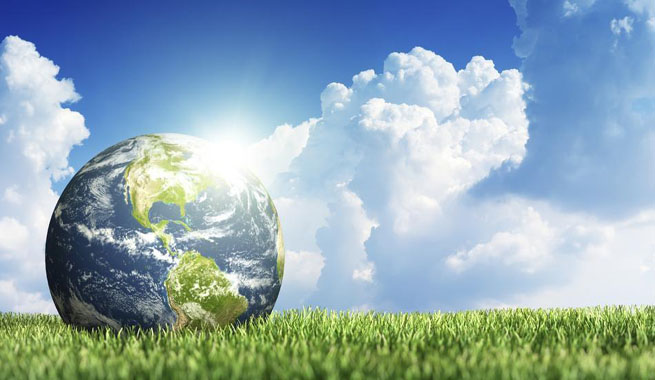 Conviértete en un experto en medio ambiente