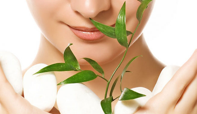 Curso de Naturopatía y Terapias Complementarias