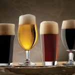 Becas de investigación Manuel de Oya 2013