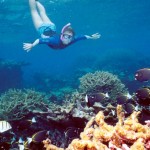 Cursos de snorkel en Alicante