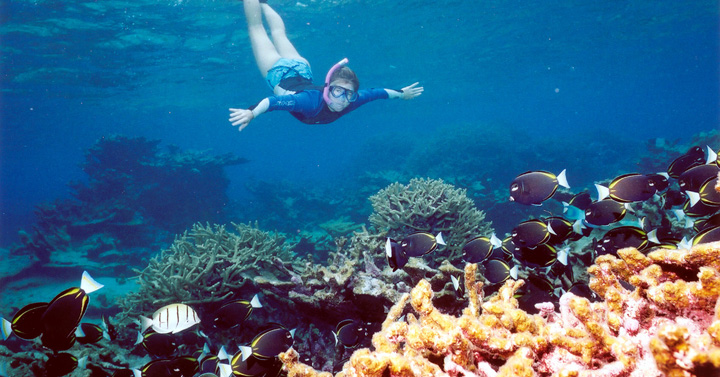 Cursos de snorkel en Alicante