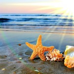 Cursos de verano en universidades españolas