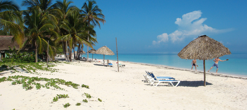 Les Roches Marbella lanza el Postgrado en Dirección de Marketing para el turismo de lujo