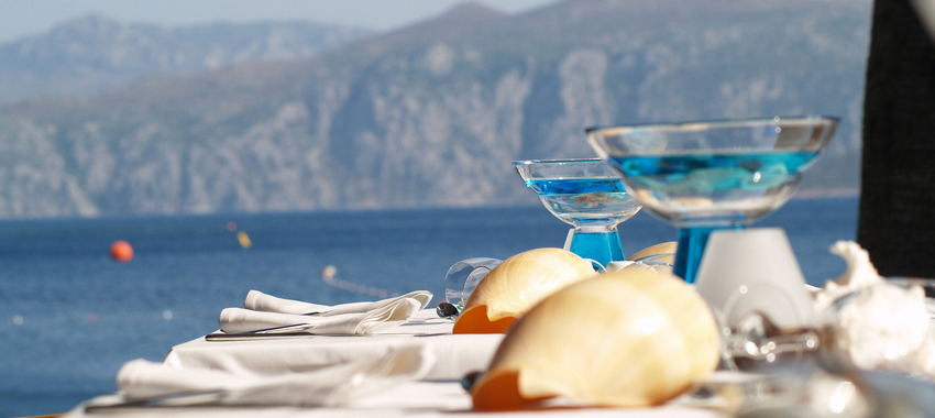 Nace el primer master en Investigación en Ciencias Gastronómicas